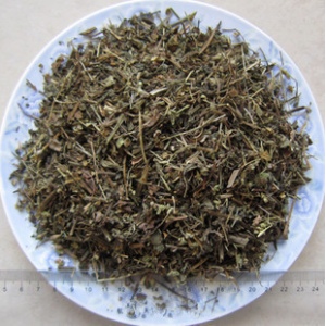 半枝莲